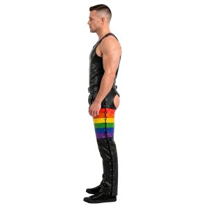 Black leather chaps with rainbow panel stripes
