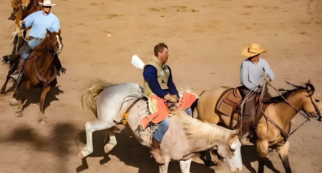 custom bull riding chaps