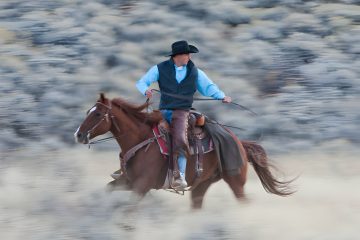 Mens Cowboys Chaps