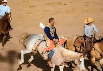 custom bull riding chaps
